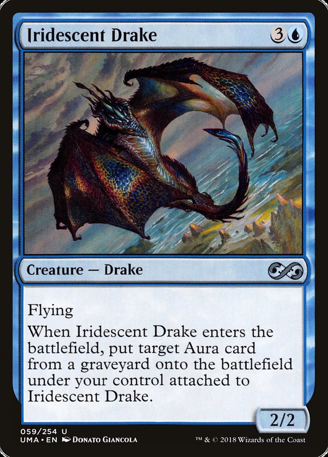 Iridescent Drake