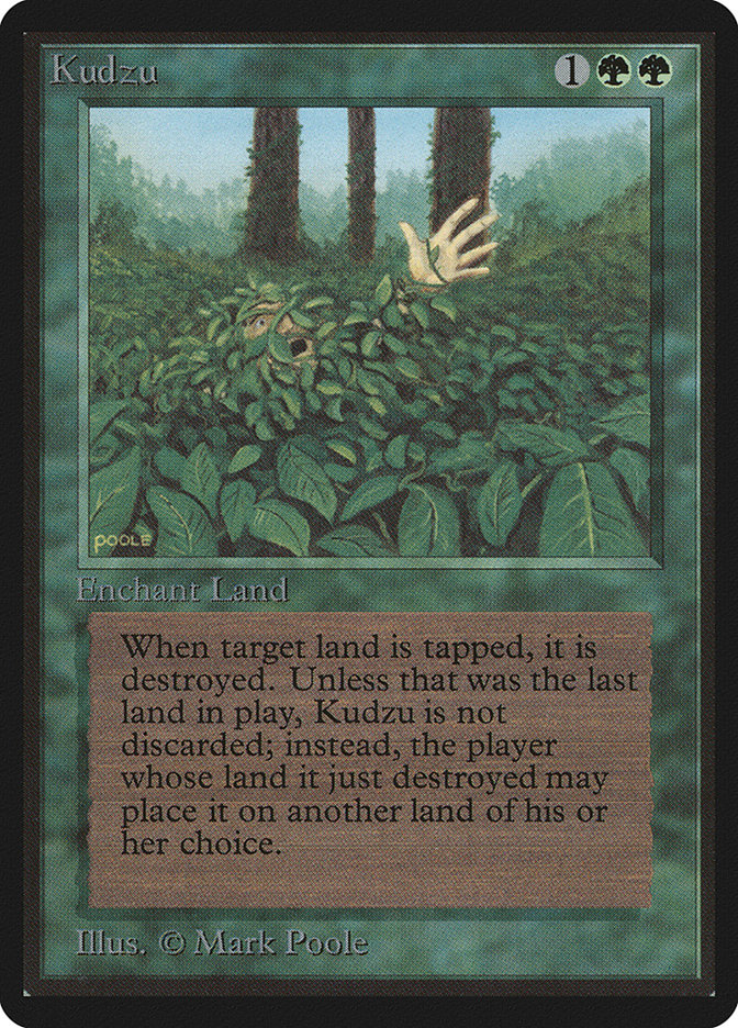 Kudzu