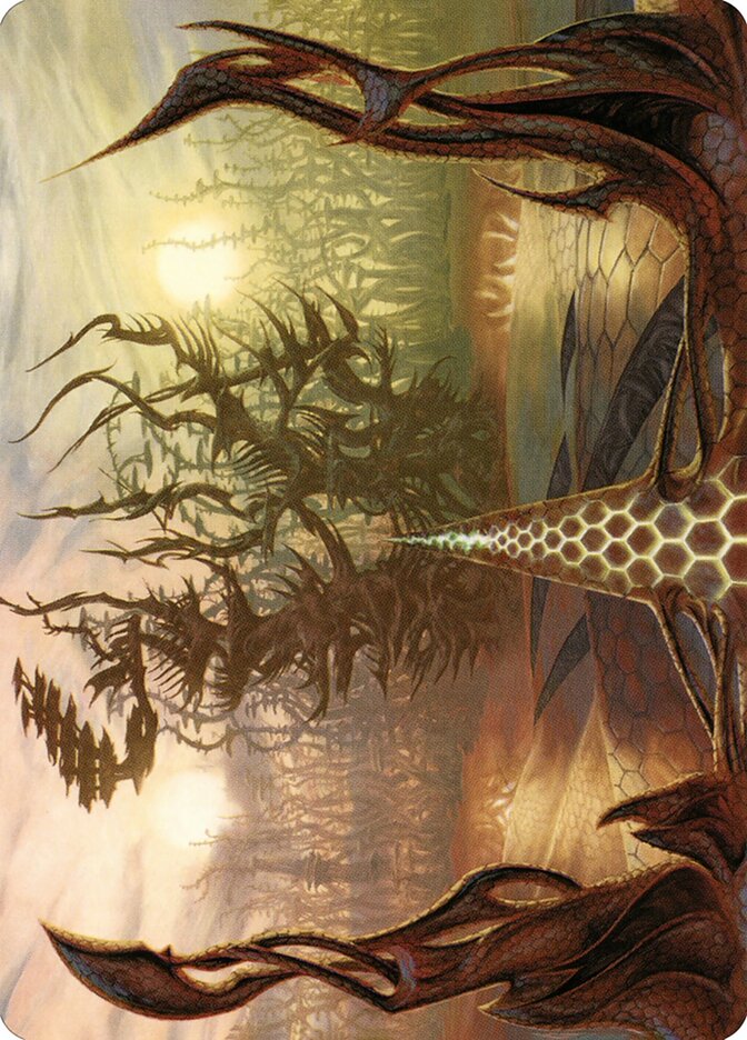 Thornglint Bridge // Thornglint Bridge