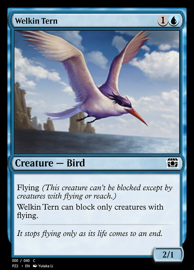 Welkin Tern