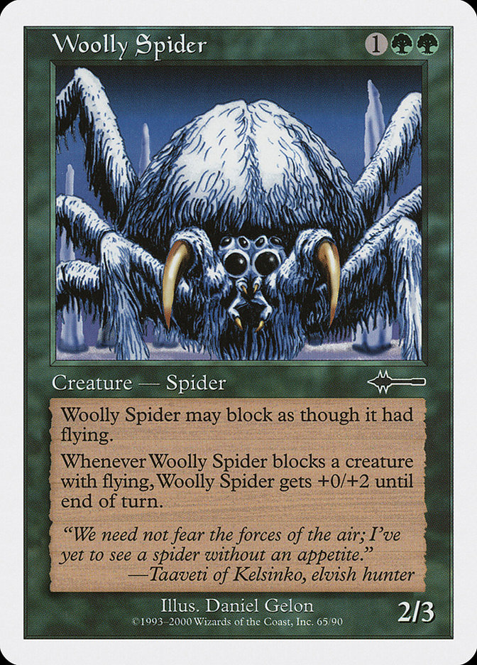 Woolly Spider