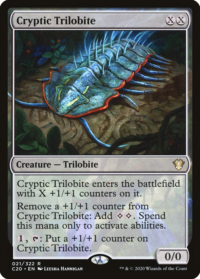 Cryptic Trilobite