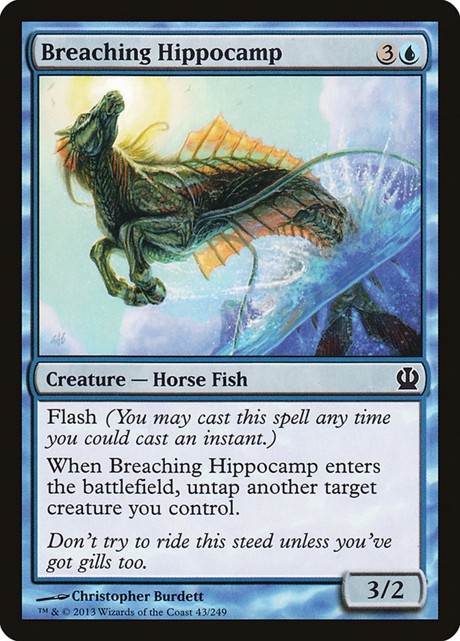 Breaching Hippocamp