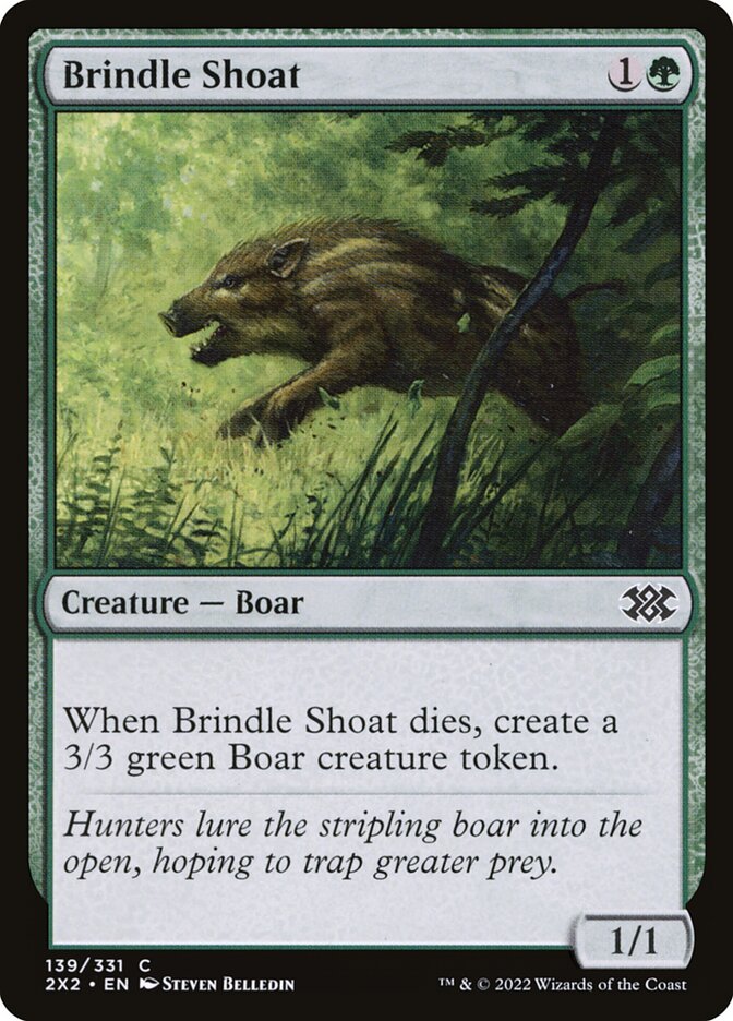 Brindle Shoat