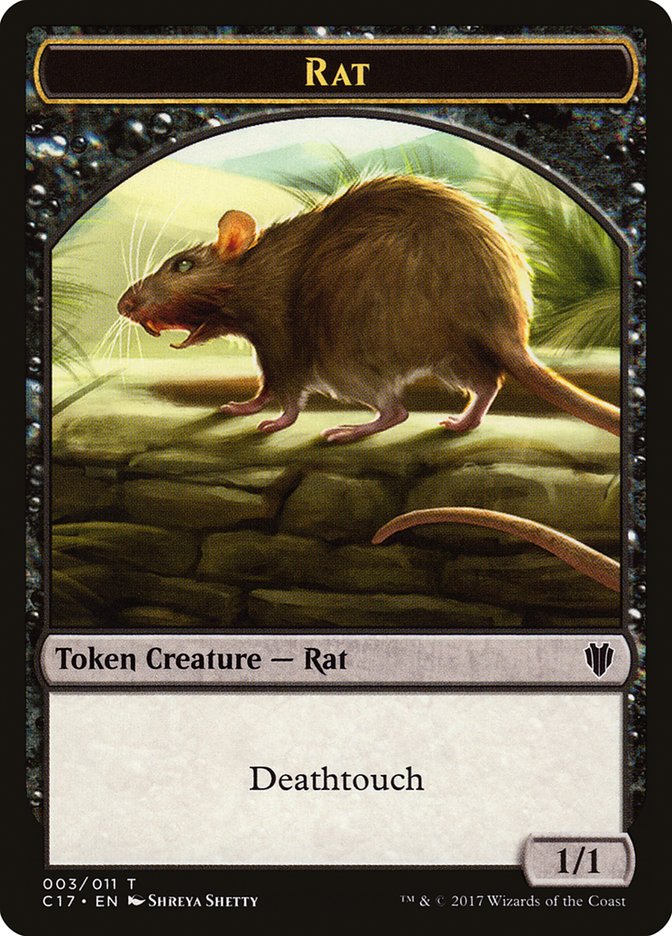 Rat