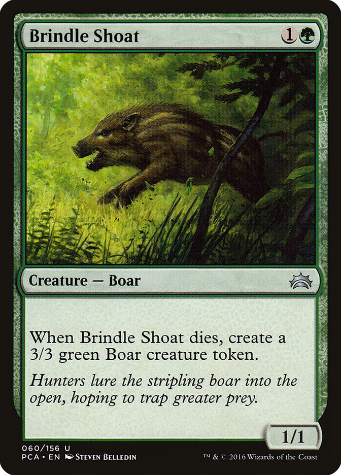 Brindle Shoat