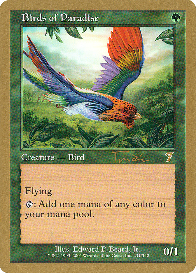 Birds of Paradise