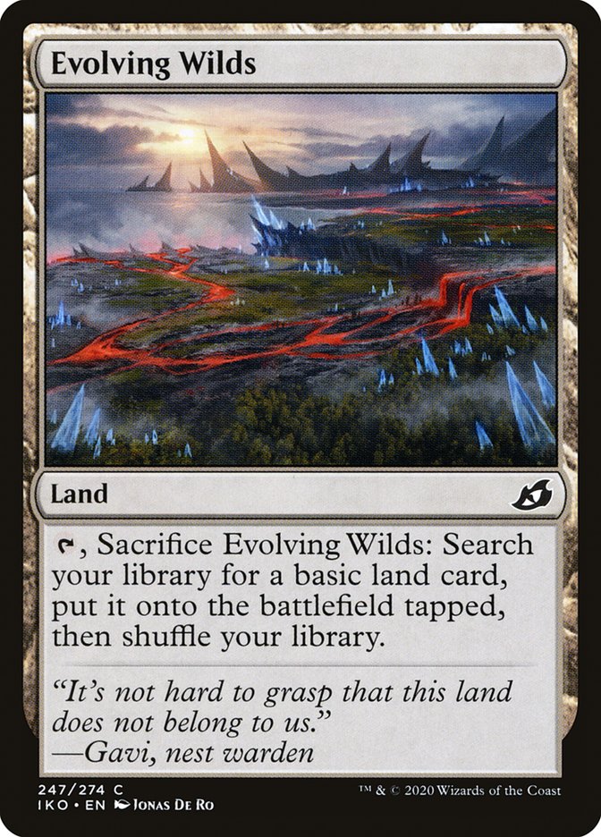 Evolving Wilds