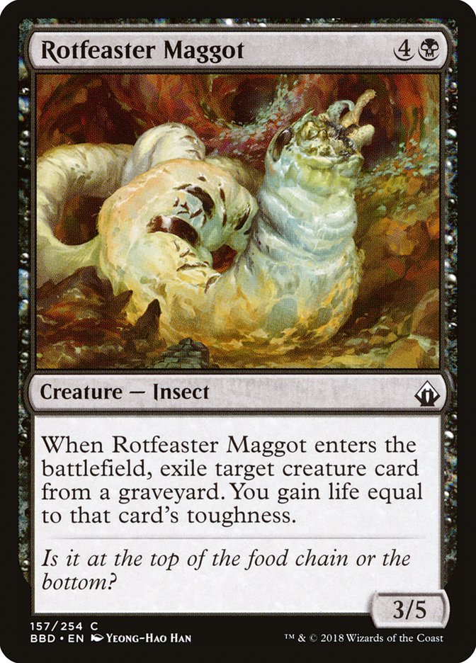 Rotfeaster Maggot