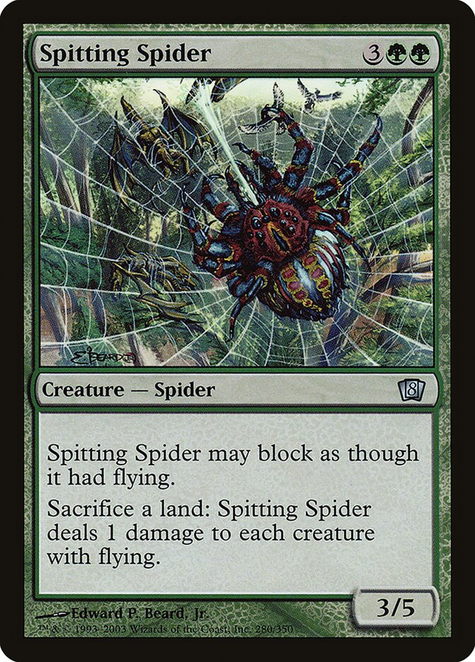 Spitting Spider